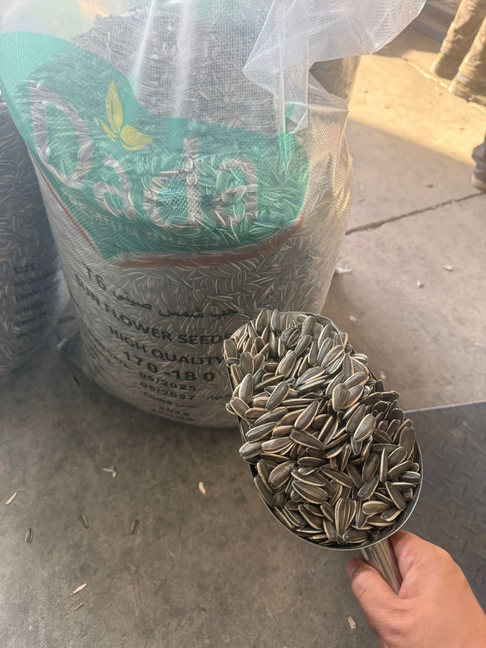 Mixed Legumes High Quality